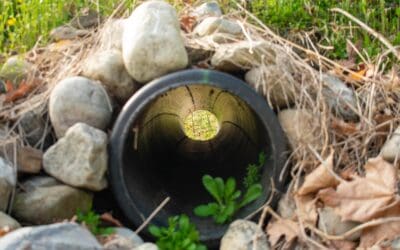 Stop Standing Water: Practical Ways to Improve Drainage on Your Property